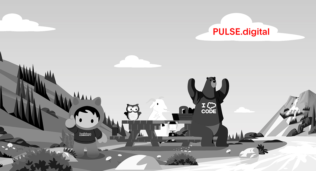 Pulse Digital clouding up at Salesforce Trailblazer Marrakech Community